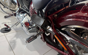 HARLEY  HARLEY FXCWC 2009 JK5