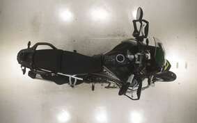 TRIUMPH TIGER 900 RALLY PRO 2023 RE67D8