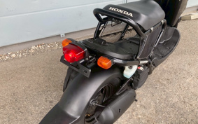HONDA ZUMAR AF58