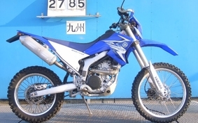 YAMAHA WR250R 2008 DG15J