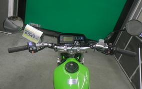 KAWASAKI SUPER SHERPA KL250G