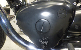 KAWASAKI W800 CAFE 2021 EJ800B