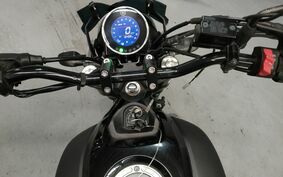 YAMAHA XSR155 不明