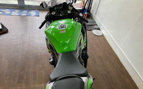 KAWASAKI NINJA 2019 ZX636G