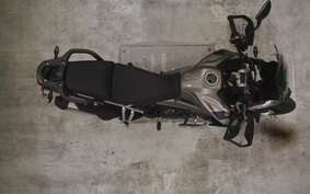 TRIUMPH TIGER 900 RALLY PRO 2023