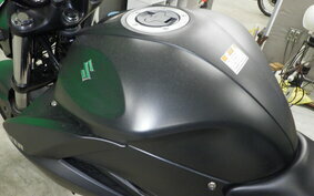 SUZUKI GIXXER 250 ED22B