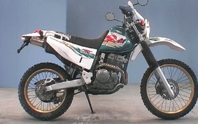 YAMAHA TT250R RAID 1995 4GY