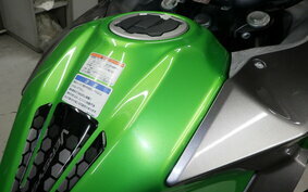 KAWASAKI VERSYS 250 A LE250D