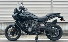 HARLEY  HARLEY  PAN  AMERICA 1250 SPECIAL  2023 ZES