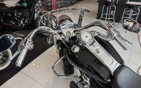 HARLEY HARLEY FLHRS1450 2007 FY4
