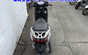 OTHER  LEAD 110EX