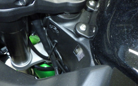 KAWASAKI NINJA 1000 SX 2023 ZXT02K