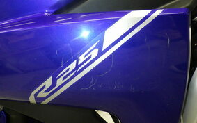 YAMAHA YZF-R25 RG10J