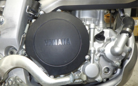 YAMAHA WR250R DG15J