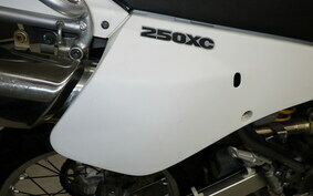 SUZUKI DJEBEL 250 XC SJ45A