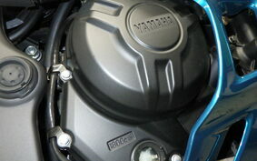 YAMAHA YZF-R3 2021 RH13J