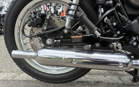 KAWASAKI W800 STREET 2020 EJ800B