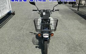 SUZUKI バーディ50FI BA43A