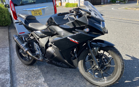 SUZUKI GSX250R DN11A
