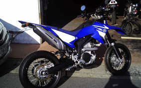 YAMAHA WR250X 2007 DG15J