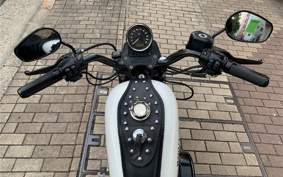 HARLEY HARLEY XL883N 2018 LE2