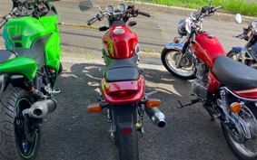 YAMAHA ZEAL 3YX