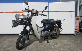 HONDA SUPER CUB110 JA10