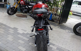 TRIUMPH TIGER SPORT 660 2024 LGL20U