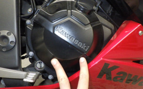 KAWASAKI NINJA 250 EX250L