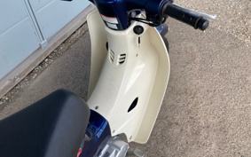 HONDA SUPER CUB110 JA44