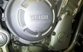 YAMAHA FZS1000 FAZER 2001 RN061