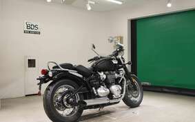 TRIUMPH SPEEDMASTER 2024