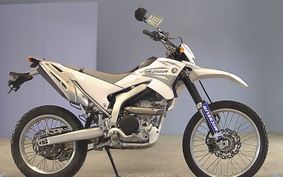 YAMAHA WR250R 2007 DG15J