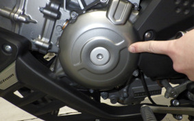 SUZUKI DL650 ( V-Strom 650 ) XTA 2021 C733A