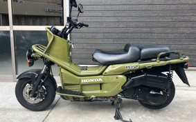 HONDA PS250 MF09