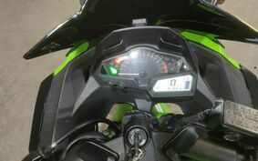 KAWASAKI NINJA 250 EX250L