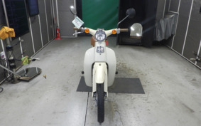 HONDA LITTLE CUB E AA01