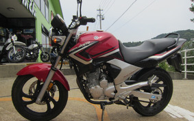 YAMAHA YBR250 PCNL