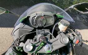 KAWASAKI NINJA ZX-6R 2019 ZX636G