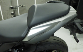 KAWASAKI NINJA 1000 SX 2024 ZXT02K