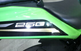 KAWASAKI ZX-25R ZX250E