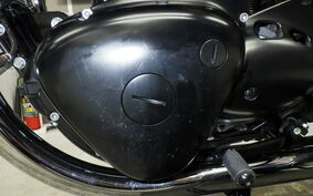 KAWASAKI W800 STREET 2021 EJ800B