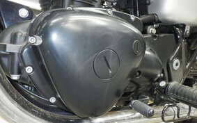 KAWASAKI W800 CAFE 2020 EJ800B