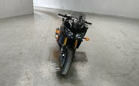 YAMAHA FZ FAZER FEATHER 2007 RN17N