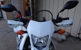 HONDA CRF250L MD38