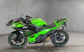 KAWASAKI NINJA 250 EX250P