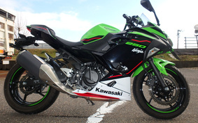 KAWASAKI NINJA 250 EX250P