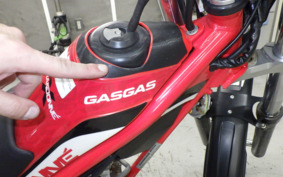 GASGAS TX 125 RANDONNE