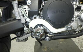 YAMAHA WR250X DG15J