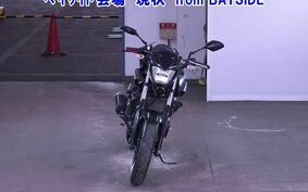 YAMAHA MT-25 RG43J